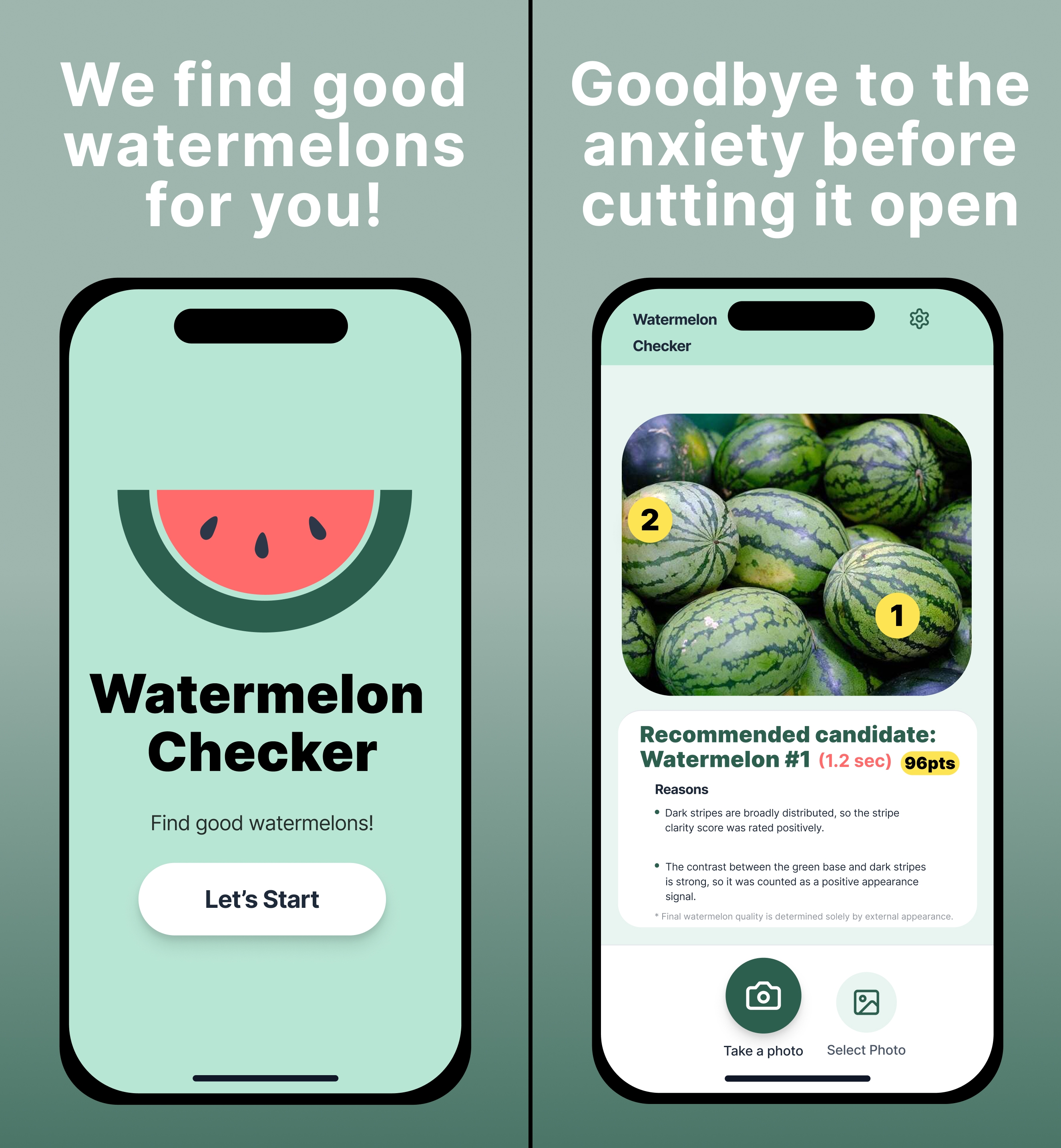 Watermelon Checker screenshot